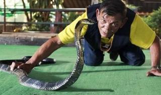 人蛇大战第二部 人蛇大战第二部